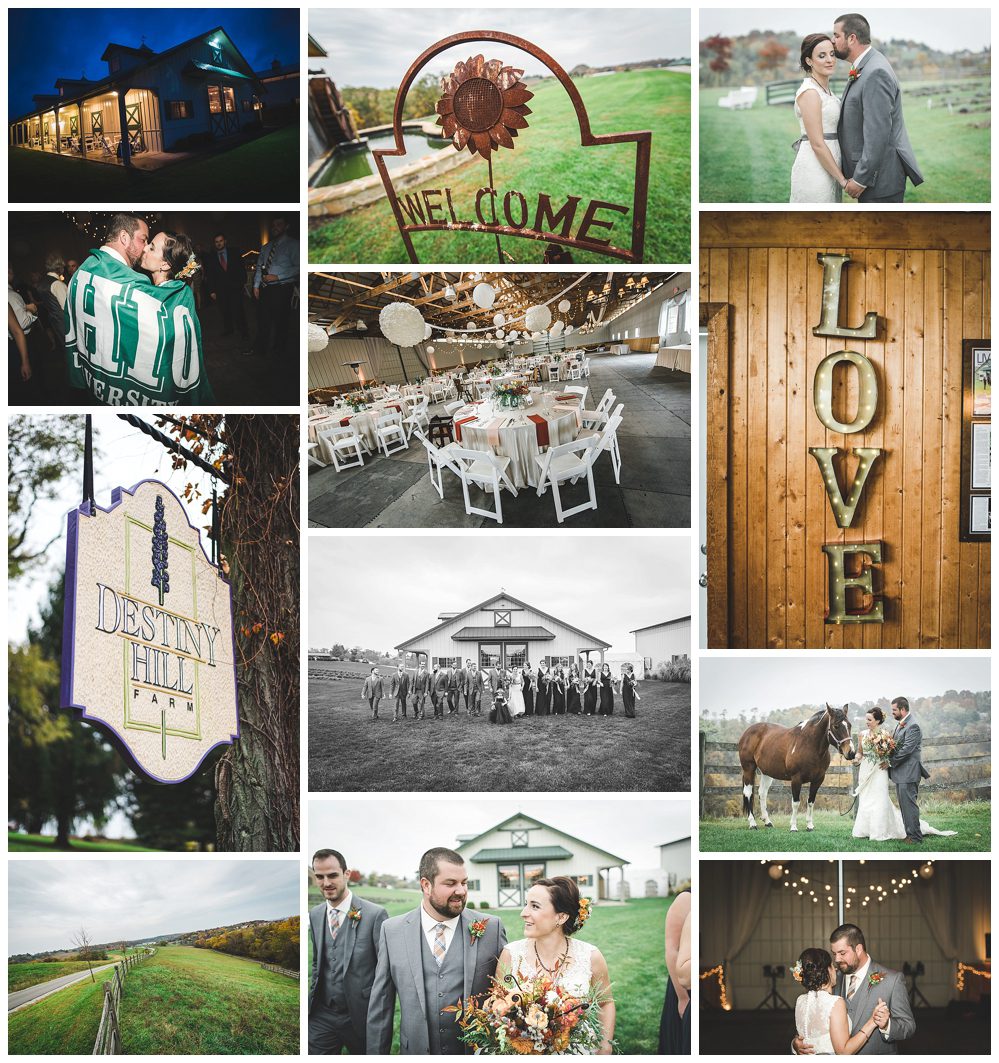 destiny hill farm wedding photography testimonials