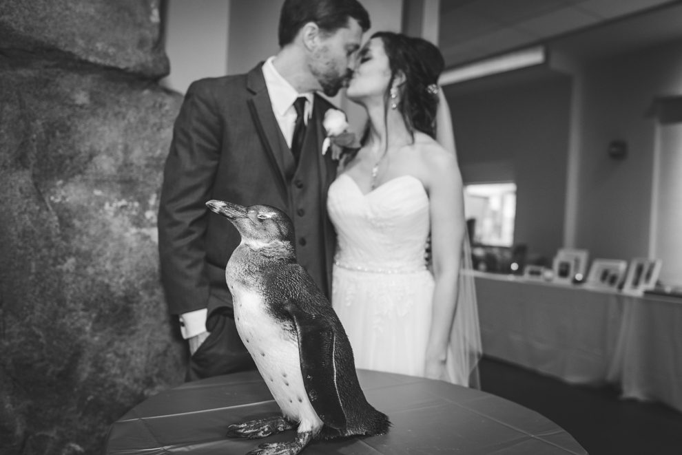 Pittsburgh National Aviary Wedding Day Photography