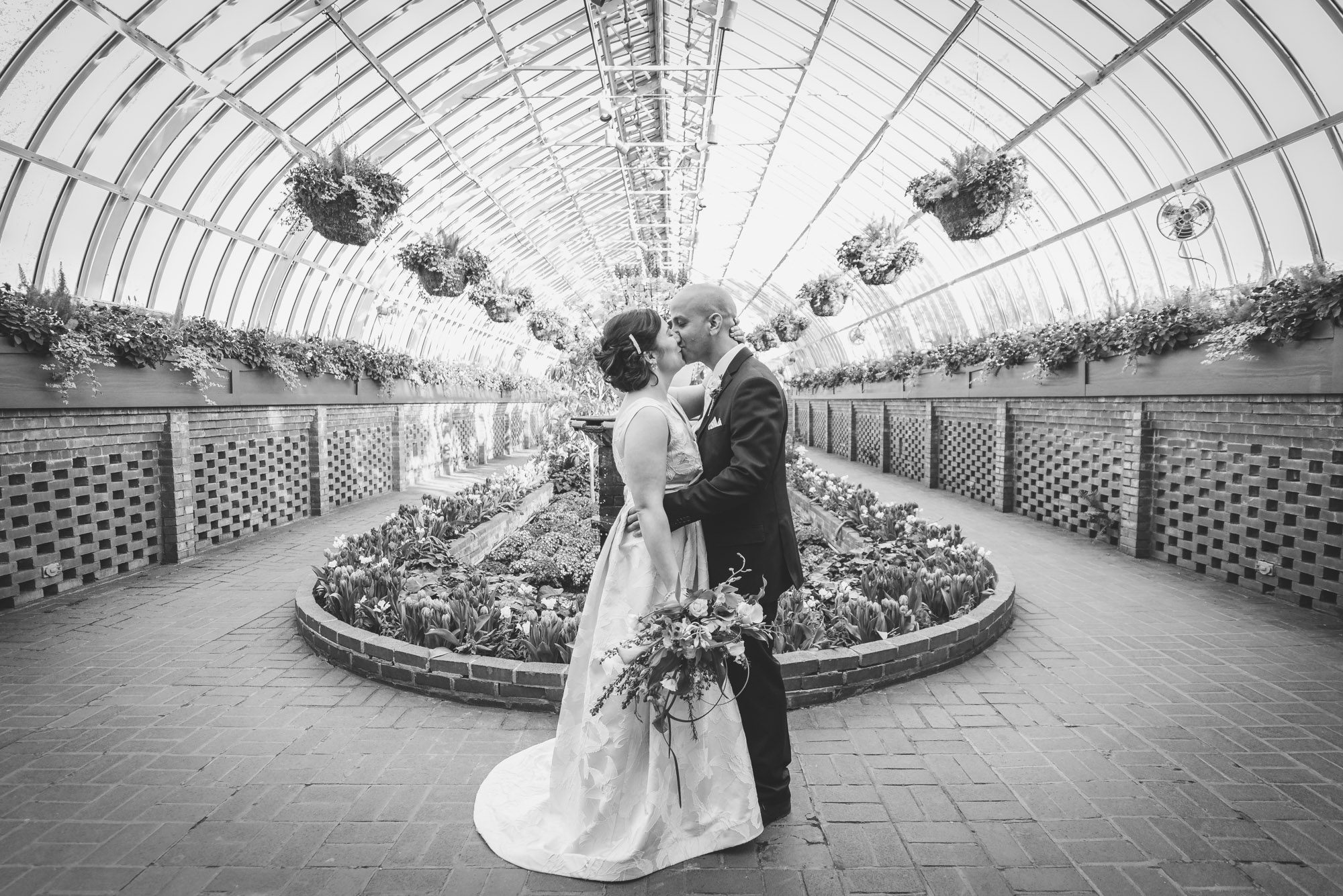 phipps conservatory weddings couple kissing